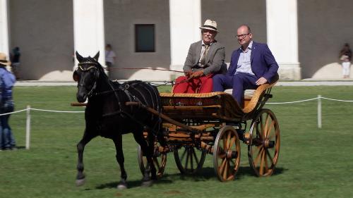 Il vicegovernatore Mario Anzil al Concorso internazionale di carrozze d'epoca a Villa Manin di Passariano di Codroipo