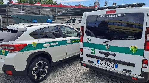 I defibrillatori automatici esterni (Dea) a bordo dei mezzi di servizio del Nucleo operativo attivitÃ  vigilanza ambientale (Noava) del Corpo forestale regionale