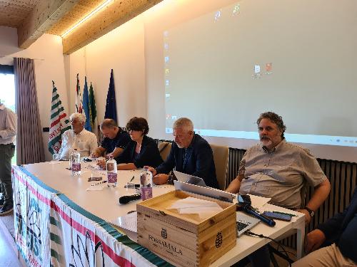 L'assessore regionale Alessia Rosolen durante il suo intervento alla tavola rotonda organizzata dalla Fim Cisl del Friuli Venezia Giulia