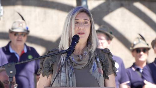 L'assessore Amirante nel corso del suo intervento 
