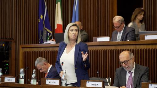 L'assessore regionale Amirante durante l'intervento in Aula