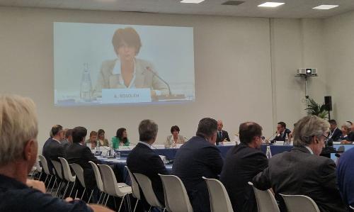 L'intervento dell'assessore Rosolen.