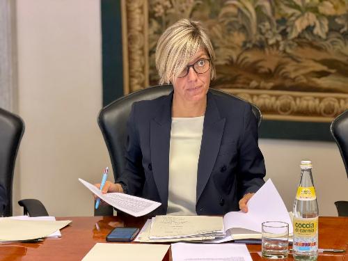 L'assessore regionale alle Finanze Barbara Zilli.
