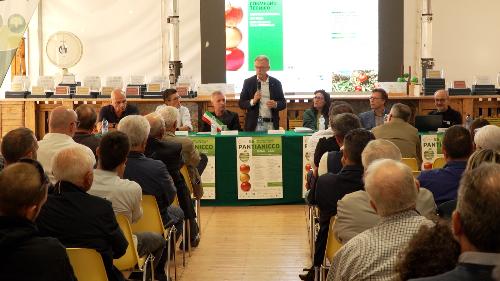 L'assessore regionale alle Risorse agroalimentari, forestali e ittiche, Stefano Zannier.