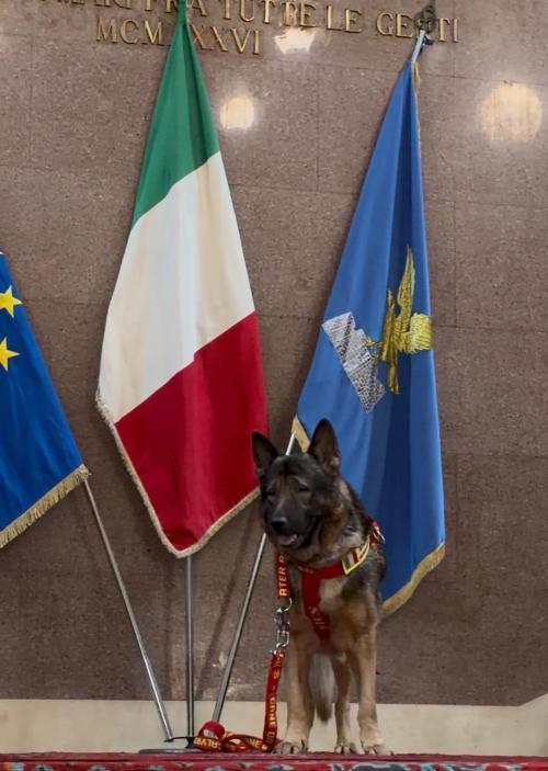 Marley nel Palazzo della Regione a Trieste