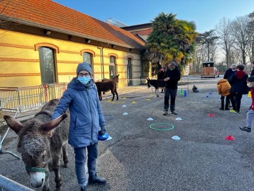 Gli asini delle fattorie didattiche a disposizione dei bambini negli spazi esterni dell'Ente Fiera a Martignacco