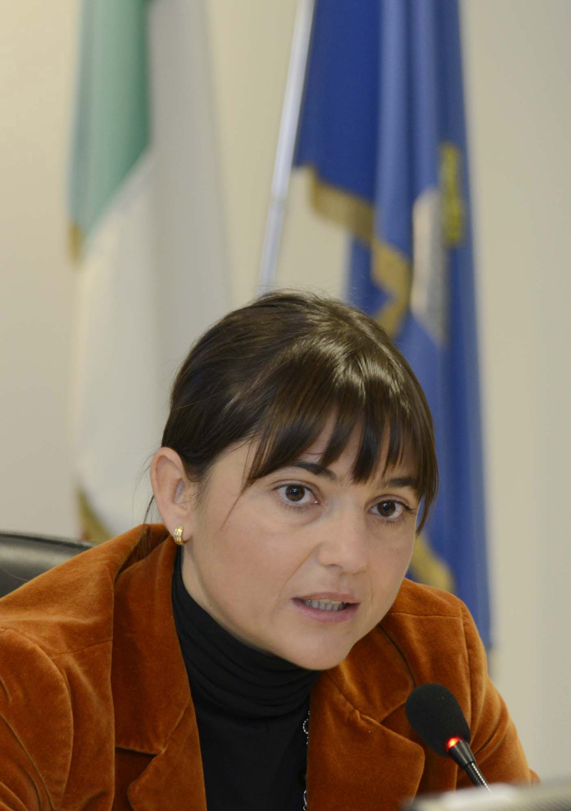 Debora Serracchiani (Presidente Friuli Venezia Giulia) presenta le &quot;linee guida&quot; del riordino del sistema Regione-Enti locali durante la riunione del CAL-Consiglio delle Autonomie Locali. (Udine 14/11/13)