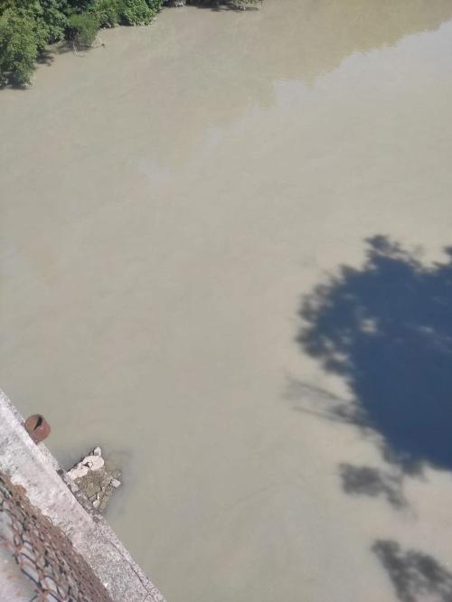 Una foto delle acque dell'Isonzo