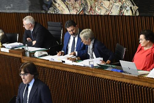 L'assessore regionale alle Attività produttive e Turismo interviene in Aula