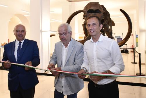 Il governatore Massimiliano Fedriga (a destra) assiema al sindaco Roberto Dipiazza (a sinistra) e all'organizzatore della mostra Flavio Bacchia (al centro). 