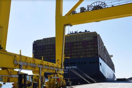 La Msc Nicola Mastro è stata presentata come la più grande ed efficiente nave portacontainer al mondo.