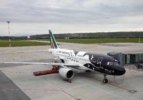 L'aereo Alitalia con la speciale livrea per la promozione del Friuli Venezia Giulia - Aeroporto di Ronchi dei Legionari 11/04/2014