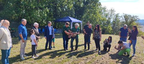 L'assessore regionale alle Risorse agroalimentari e forestali Stefano Zannier assiste alla liberazione di un rapace nella Riserva del Lago di Cornino