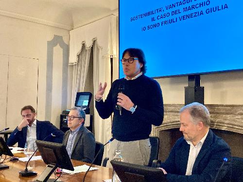 L'assessore Bini interviene al convegno organizzato dalla Camera di Commercio Pordenone - Udine al castello di Colloredo di Montalbano