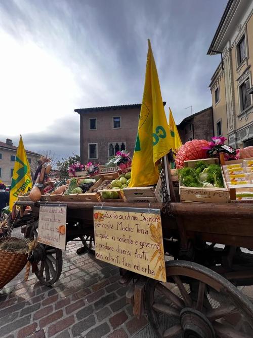 La settantatreesima Giornata provinciale del Ringraziamento agricolo di Gemona del Friuli