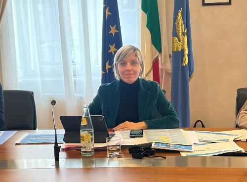 L'assessore regionale alle Finanze Barbara Zilli.