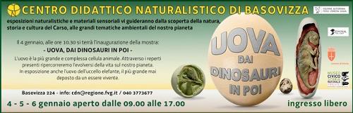 Cartellone della mostra "Uova ... dai dinosauri in poi" allestita nel Centro Didattico Naturalistico (CDN) della Regione Friuli Venezia Giulia a Basovizza (Trieste) (02/01/2015)