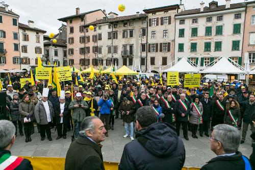 Di spalle, Furio Honsell (Sindaco Udine), Piero Villotta (Giornalista) e Sergio Bolzonello (Vicepresidente Regione FVG e assessore Attività produttive, Commercio, Cooperazione, Risorse agricole e forestali) alla manifestazione di Coldiretti FVG per salvare le oltre 1.000 stalle attive della regione - Udine 06/02/2015