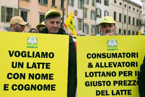 Allevatori in piazza alla manifestazione di Coldiretti FVG per salvare le oltre 1.000 stalle attive della regione Friuli Venezia Giulia - Udine 06/02/2015