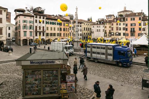 Piazza Matteotti durante la manifestazione di Coldiretti FVG per salvare le oltre 1.000 stalle attive della regione Friuli Venezia Giulia - Udine 06/02/2015