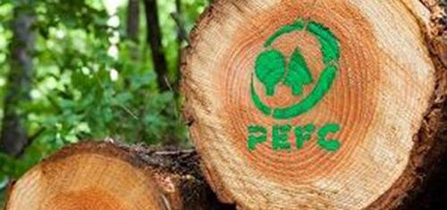 Legno PEFC (Programme for the Endorsement of Forest Certification) (Foto tratta da trevenezie.it)