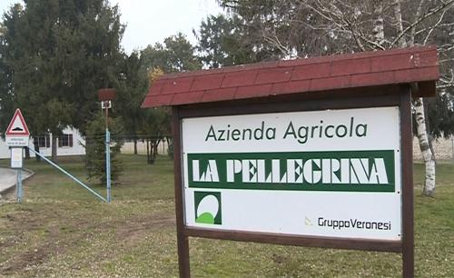 L'Azienda agricola La Pellegrina del Gruppo Veronesi - San Quirino di Pordenone 21/02/2015