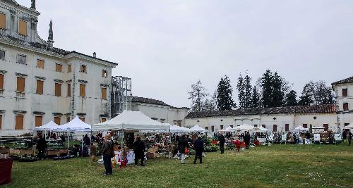 Villa Manin di Passariano nella seconda edizione de "Nel giardino del doge Manin" - Codroipo 21/03/2015 (Photo P. Suppa – EUFRASIA)