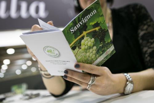 Presentazione del Concorso mondiale del Sauvignon (Villa di Toppo Florio di Buttrio dal 21 al 24 maggio 2015) nello stand del Friuli Venezia Giulia al quarantanovesimo Vinitaly - Verona 23/03/2015