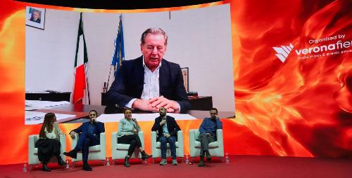 L'assessore regionale all'Ambiente ed energia Fabio Scoccimarro durante il suo intervento in videomessaggio al convegno "Sottoprodotti, verde urbano e fuori foresta"