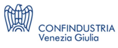 Logo Confindustria Venezia Giulia (Tratto da confindustriavg.it)