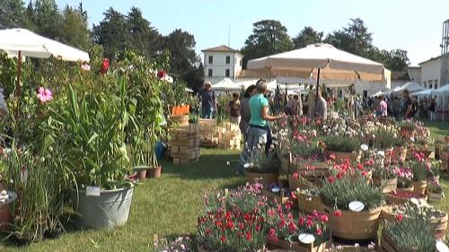 Terza edizione di "Nel Giardino del doge Manin" - Villa Manin di Passariano 12/09/2015