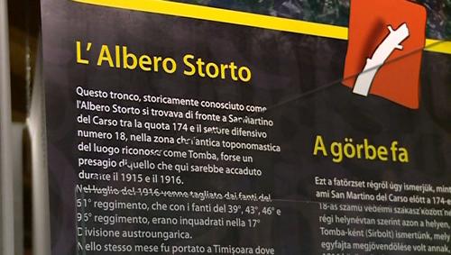 Allestimento della mostra "San Martino e l'albero storto: c'era un volta. Storie da una trincea", al Museo della Grande Guerra - San Martino del Carso 23/11/2015