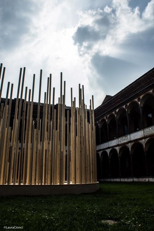 L'installazione "Radura" progettata dall'architetto Stefano Boeri. Cortile della Farmacia Ca' Granda all'interno dell'Università Statale di Milano (Foto Laura Cionci) 