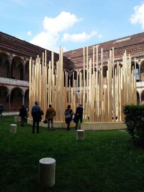 L'installazione lignea "Radura", progettata dall'architetto Stefano Boeri, nel Cortile della Farmacia Ca' Granda all'interno dell'Università Statale - Milano 12/04/2016