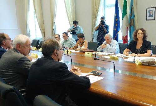 Gianni Torrenti (Assessore regionale Cultura, Sport e Solidarietà) alla riunione del Comitato istituzionale paritetico per i problemi della minoranza slovena, presieduto da Ksenija Dobrila - Trieste 28/06/2016