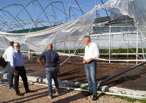 Gli assessori regionali Paolo Panontin (Autonomie locali e Coordinamento Riforme, Protezione civile) e Cristiano Shaurli (Risorse agricole e forestali), durante il sopralluogo per verificare l'entità dei danni provocati dal maltempo - San Giorgio della Richinvelda - 09/08/2016