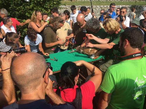 La manifestazione "Vivi e liberi di volare ... buon viaggio giovane grifone" alla Riserva naturale Lago di Cornino - Forgaria (UD) 04/09/2016