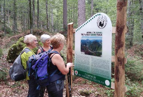 Il Sentiero degli Alberi di Risonanza (The Forest Sound Track) inaugurato oggi - Malborghetto-Valbruna 10/09/2016