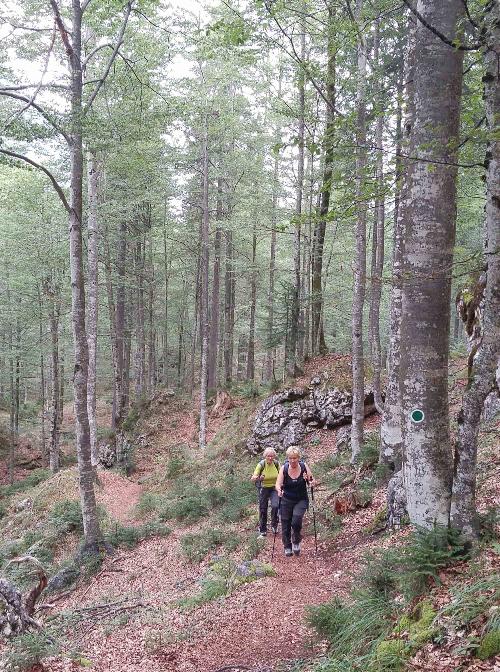 Il Sentiero degli Alberi di Risonanza (The Forest Sound Track) inaugurato oggi - Malborghetto-Valbruna 10/09/2016