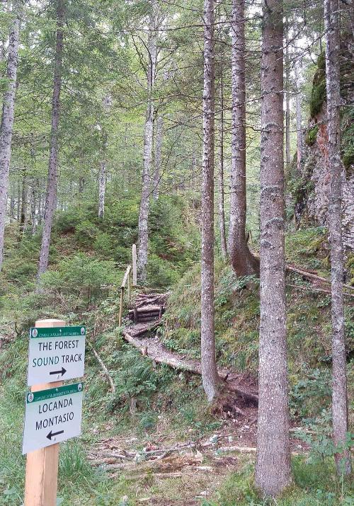 Il Sentiero degli Alberi di Risonanza (The Forest Sound Track) inaugurato oggi - Malborghetto-Valbruna 10/09/2016