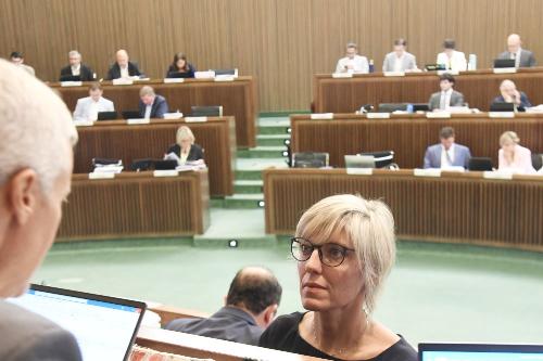 L'assessore regionale alle Finanze Barbara Zilli nel corso della seduta di Consiglio 