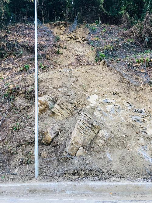 La porzione di territorio interessata dal movimento franoso