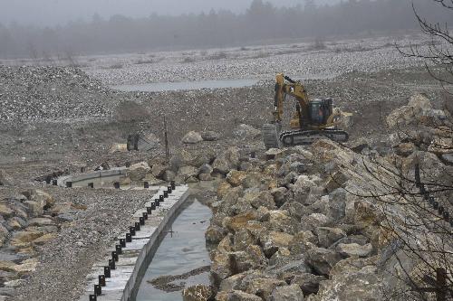 Argini del Tagliamento, a Ospedaletto - Gemona del Friuli 21/02/2017