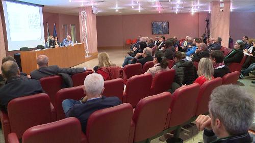 Convegno "Le fibre artificiali vetrose. Aspetti ambientali e sanitari", nell'Auditorium dell'Ospedale San Polo - Monfalcone 20/04/2017