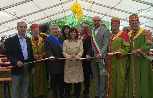 Debora Serracchiani (Presidente Regione Friuli Venezia Giulia) all'inaugurazione della quarantottesima Fiera dei Vini - Corno di Rosazzo 12/05/2017