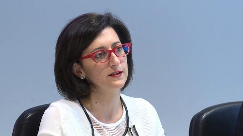 Sara Vito (Assessore regionale Ambiente ed Energia) all'incontro con i sindaci dei Comuni interessati dal nuovo elettrodotto e i rappresentanti di Terna - Udine 05/06/2017