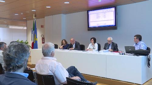 Sara Vito (Assessore regionale Ambiente ed Energia) all'incontro con i sindaci dei Comuni interessati dal nuovo elettrodotto e i rappresentanti di Terna - Udine 05/06/2017