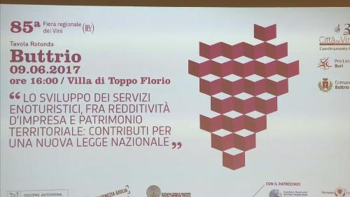 Convegno "Lo sviluppo dei servizi enoturistici, fra redditività d'impresa e patrimonio territoriale: contributi per una nuova legge nazionale" - Buttrio 09/06/2017
