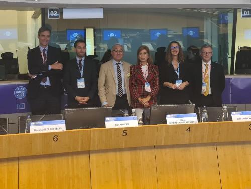 Il primo a destra della foto l'assessore Zannier assieme agli altri delegati delle Regioni europee