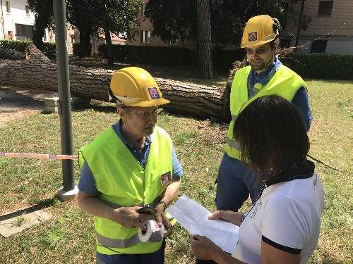 Debora Serracchiani (Presidente Regione Friuli Venezia Giulia) durante il sopralluogo nelle zone colpite dal maltempo (Parco della Rimembranza) -  Udine 11/08/2017